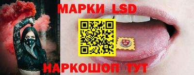 дмт Донской