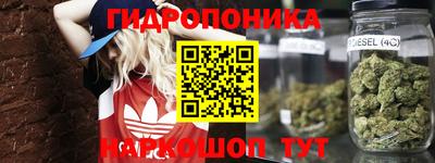 дмт Донской