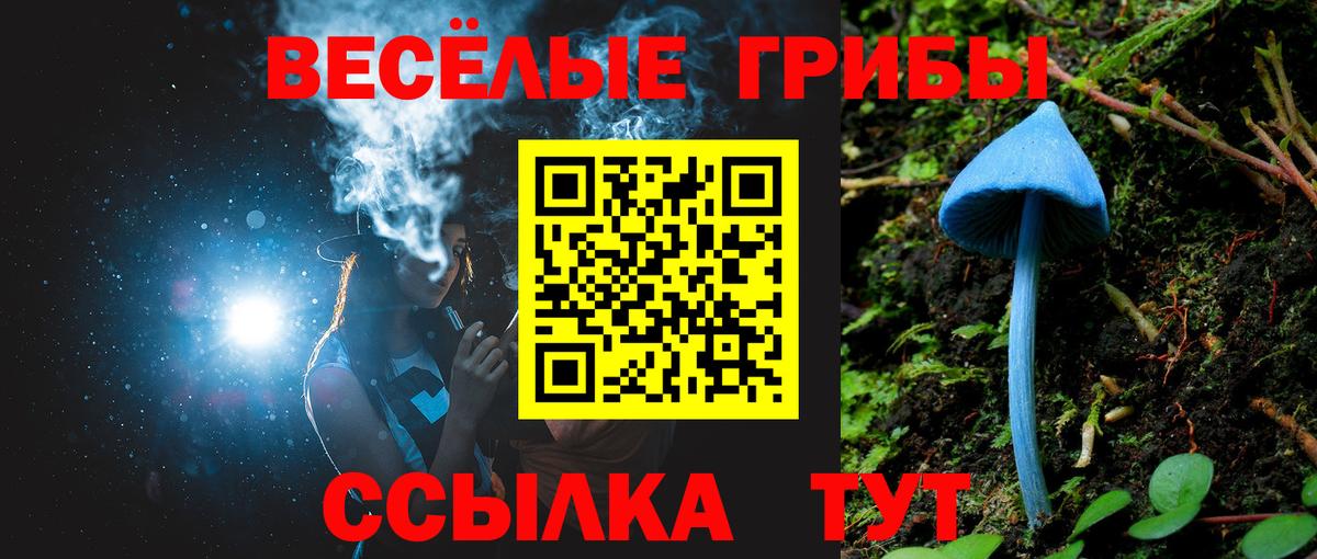 Галлюциногенные грибы прущие грибы  Вход с VPN  Миллерово 